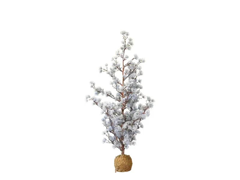 Cederträ med LED