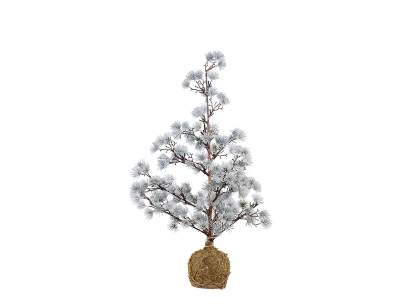 Cederträ med LED