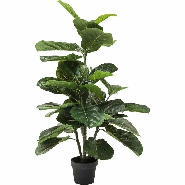 Konstväxt KARE DESIGN - FIDDLE LEAF, 120 cm