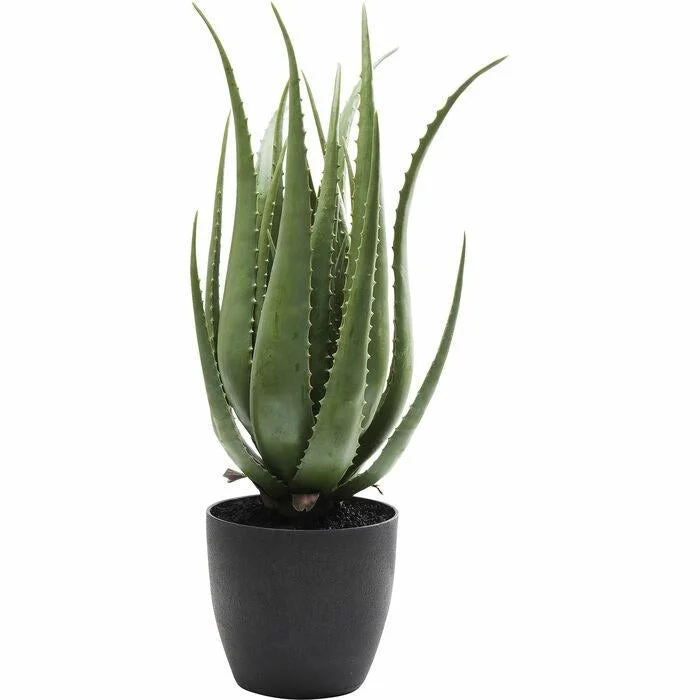 Konstväxt KARE DESIGN - ALOE, 69 cm