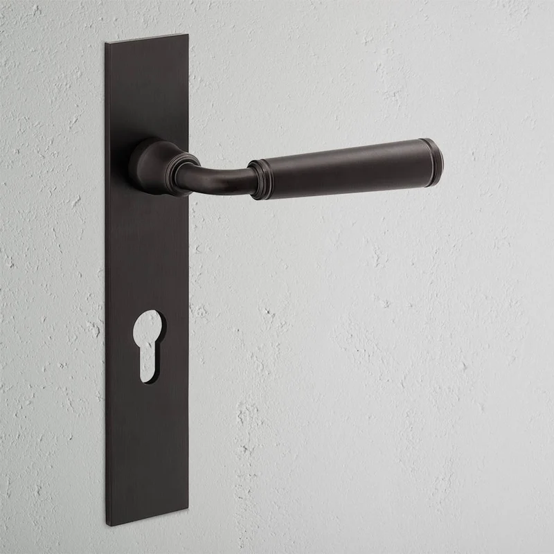 Digby Long Plate Sprung Door Handle & Euro Lock - Bronze
