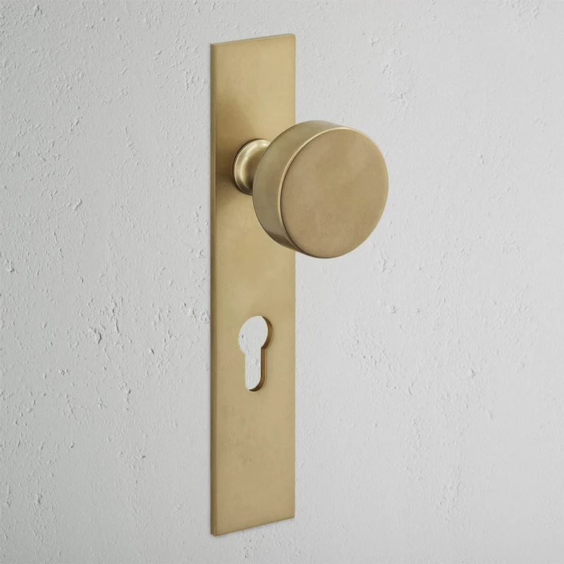Onslow Long Plate Unsprung Door Handle & Euro Lock – Antique Brass