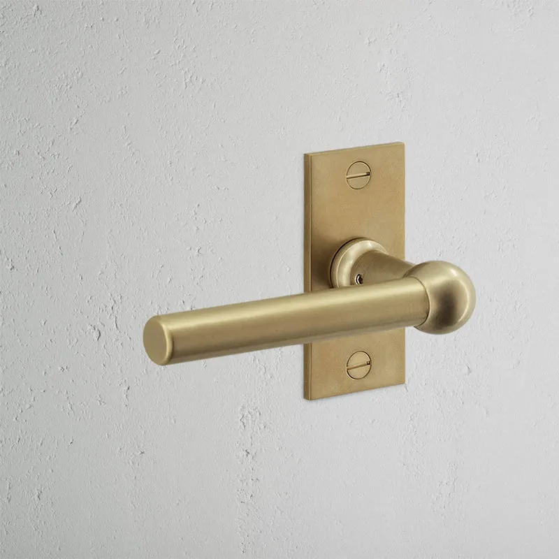 Harper Short Plate Sprung Door Handle - Antique Brass
