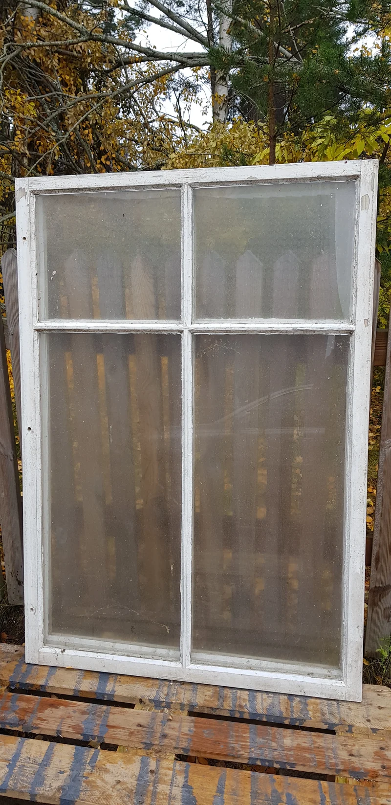 ARTIKELNUMMER 430 3 st Äldre spröjsade flagg fönster med äkta spröjs utan karm, Perfekt till växthus eller uterum. Mått: Bredd 95 cm Höjd 138 cm tjocklek 3 cm Pris: 800 kr per st
