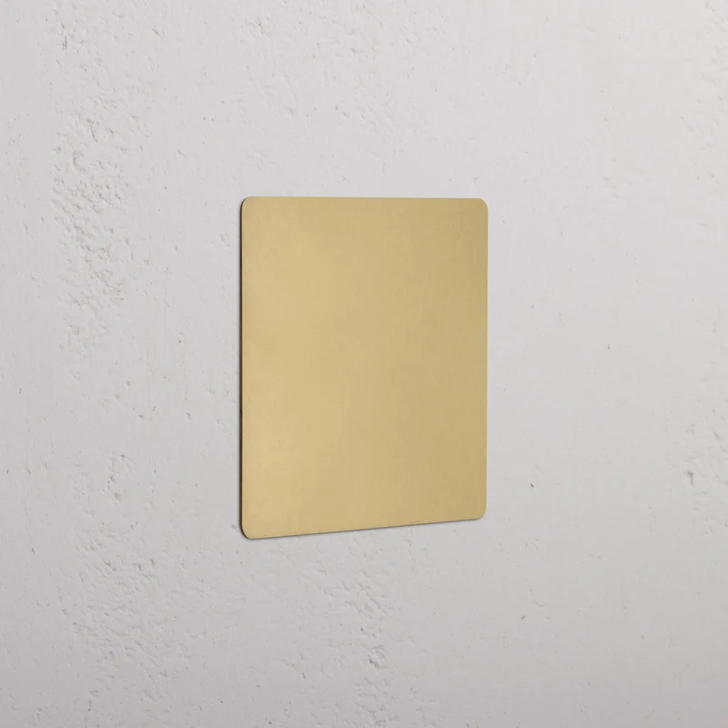 Kew 2G Blank Plate - Antique Brass
