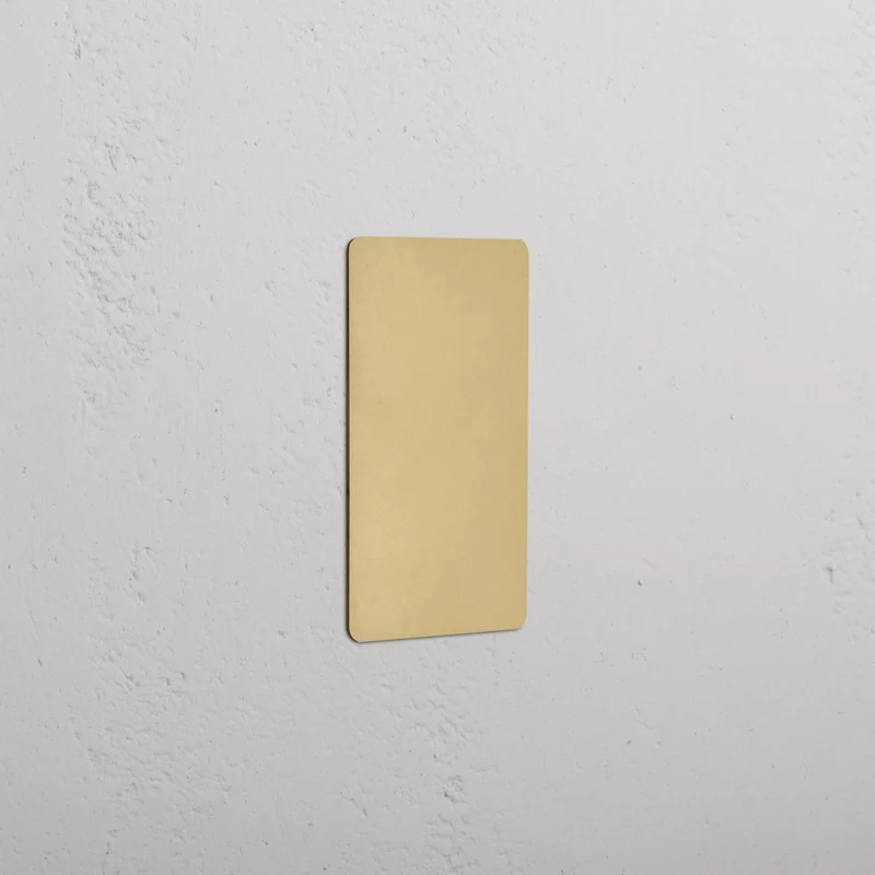 Kew 1G Blank Plate - Antique Brass