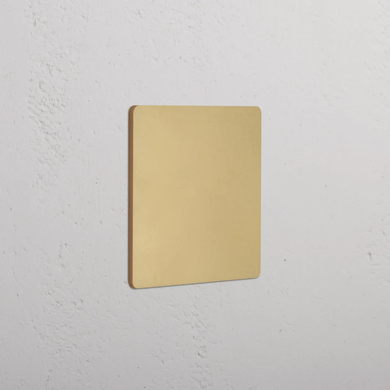 Grove 2G Blank Plate - Antique Brass
