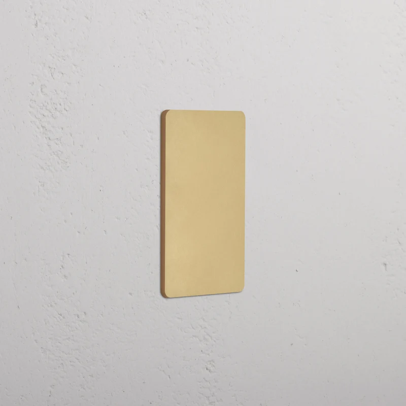 Grove 1G Blank Plate - Antique Brass