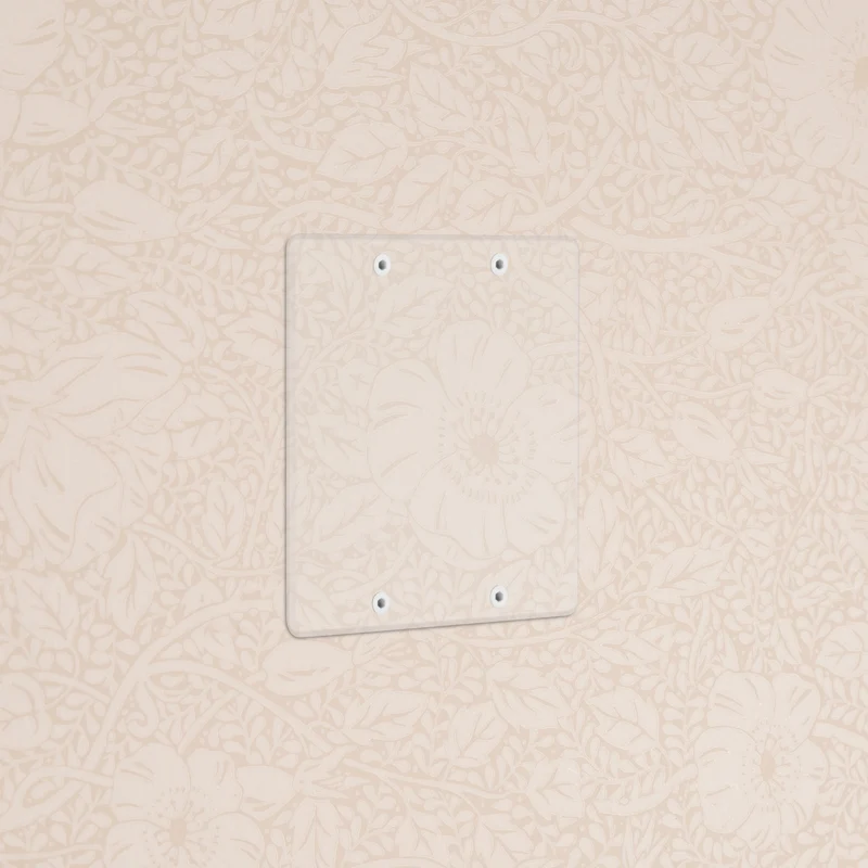 Kew 2G Blank Plate - Clear