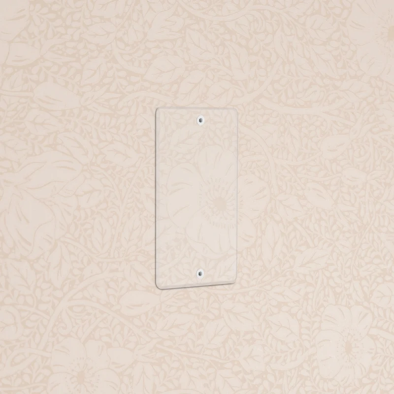 Kew 1G Blank Plate - Clear