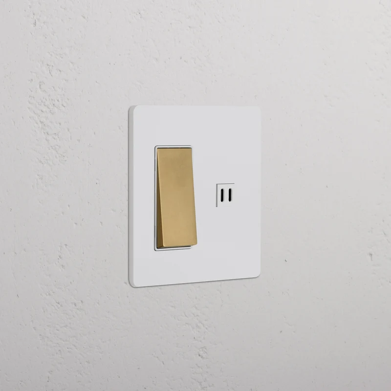 Grove 2G Rocker Switch & Fast Charge USB – Paintable Antique Brass | White