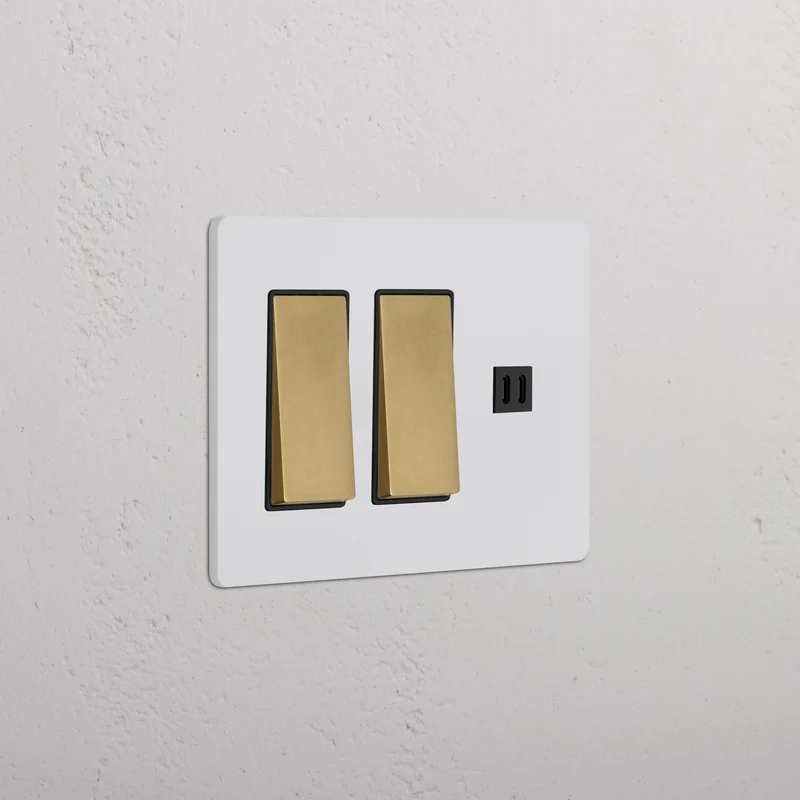 Grove 3G 2x Rocker Switch & Fast Charge USB – Paintable Antique Brass | Black