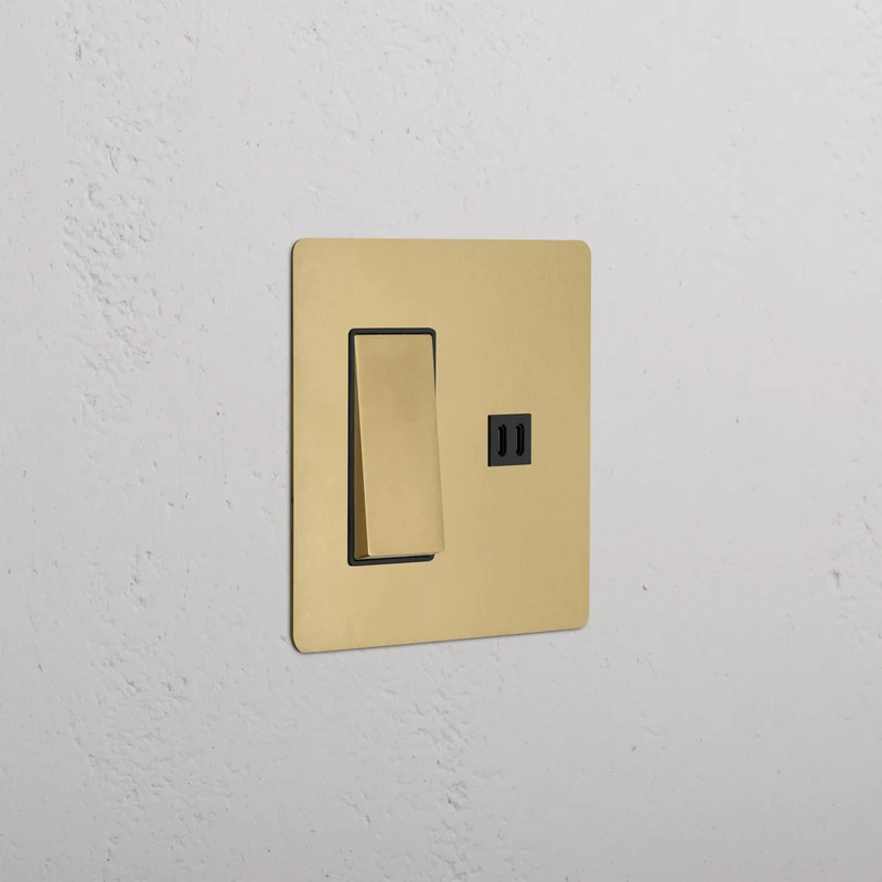 Kew 2G Rocker Switch & Fast Charge USB - Antique Brass Black