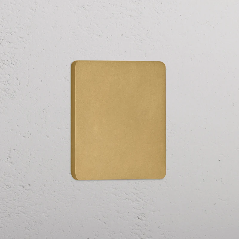 Grove Single Blank Plate - Antique Brass