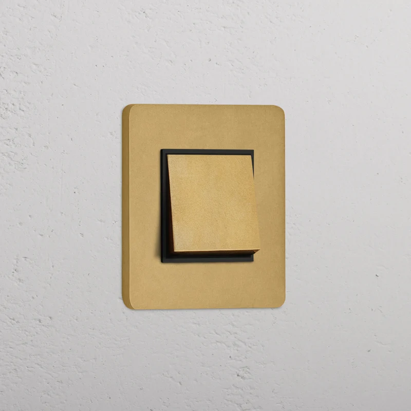 Grove Single Rocker Switch - Antique Brass | Black