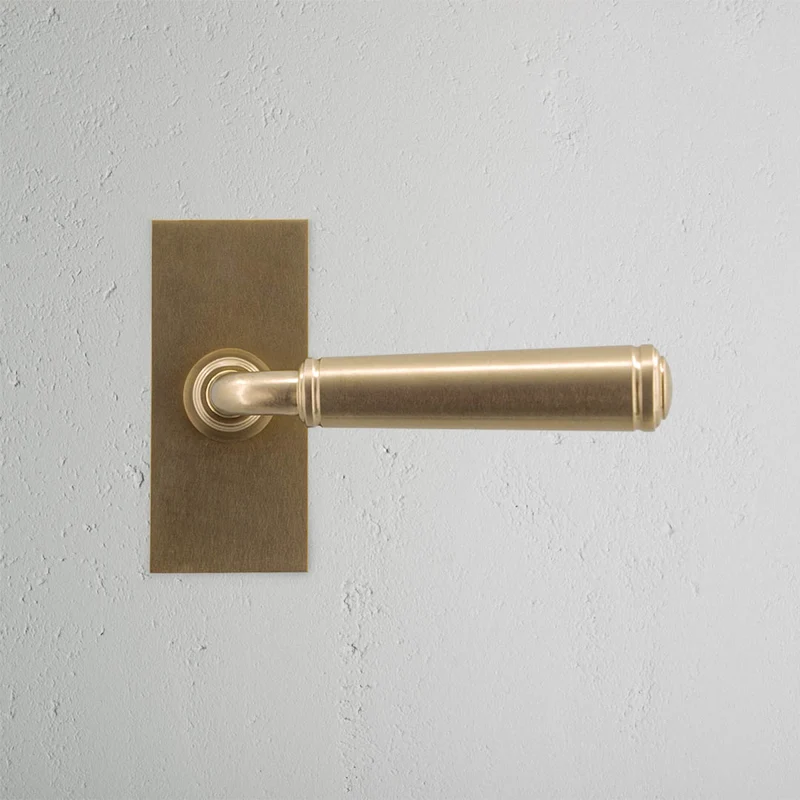 Digby Short Plate Fixed Door Handle - Antique Brass