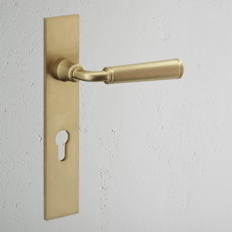 Digby Long Plate Unsprung Door Handle & Euro Lock – Antique Brass
