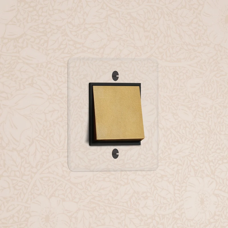 Kew Single Intermediate Rocker Switch - Clear Antique Brass | Black