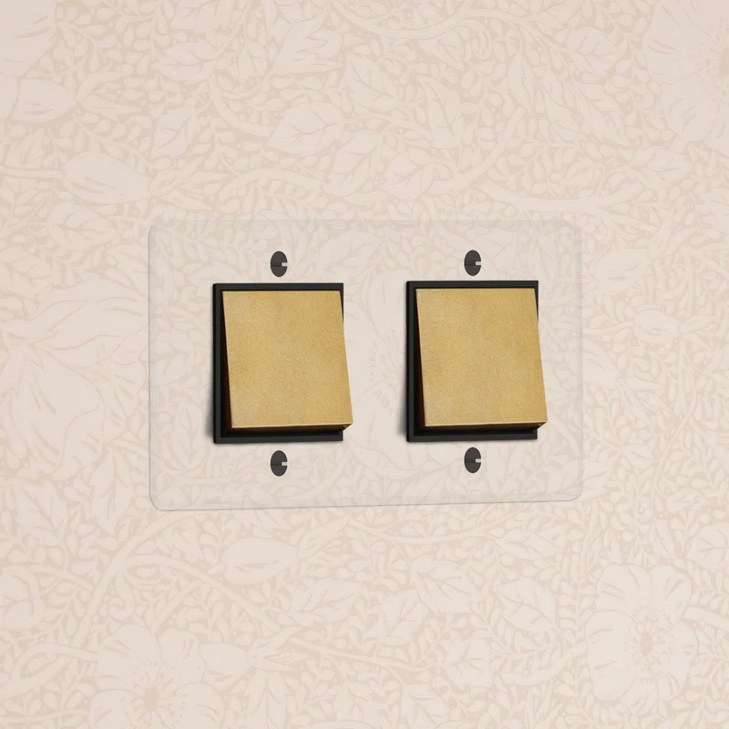 Kew Double 2x Rocker Switch - Clear Antique Brass | Black