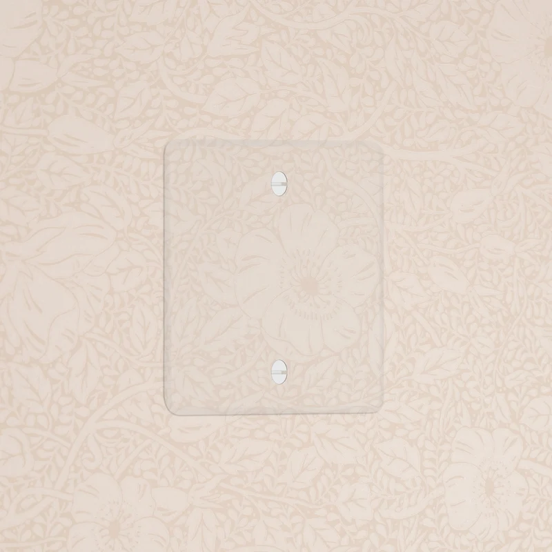 Kew Single Blank Plate - Clear | White