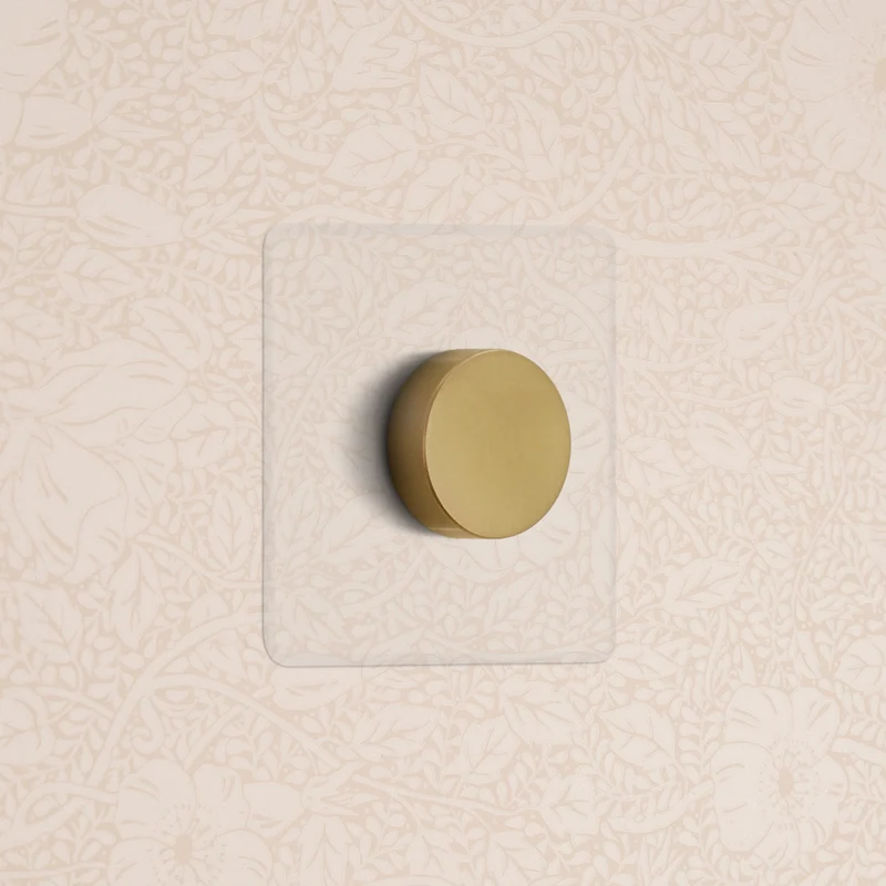 Kew Single Dimmer Switch - Clear Antique Brass