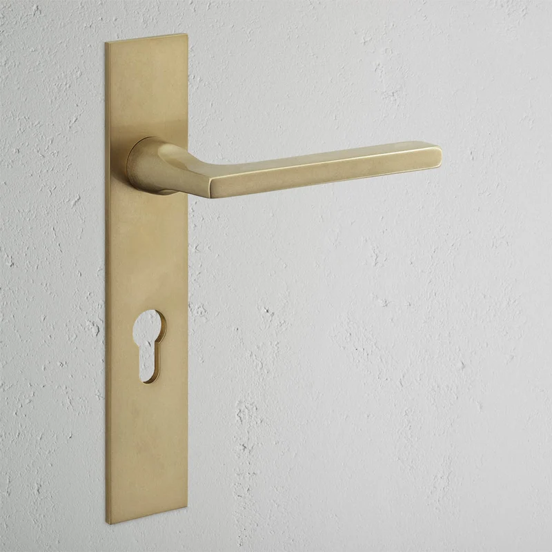 Clayton Long Plate Unsprung Door Handle & Euro Lock – Antique Brass