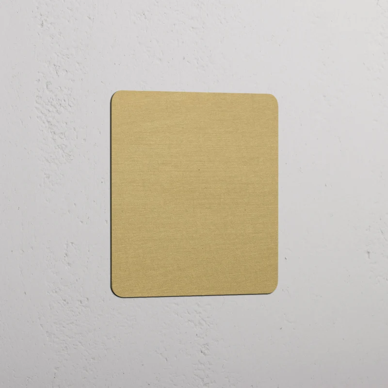 Kew Single Blank Plate - Antique Brass