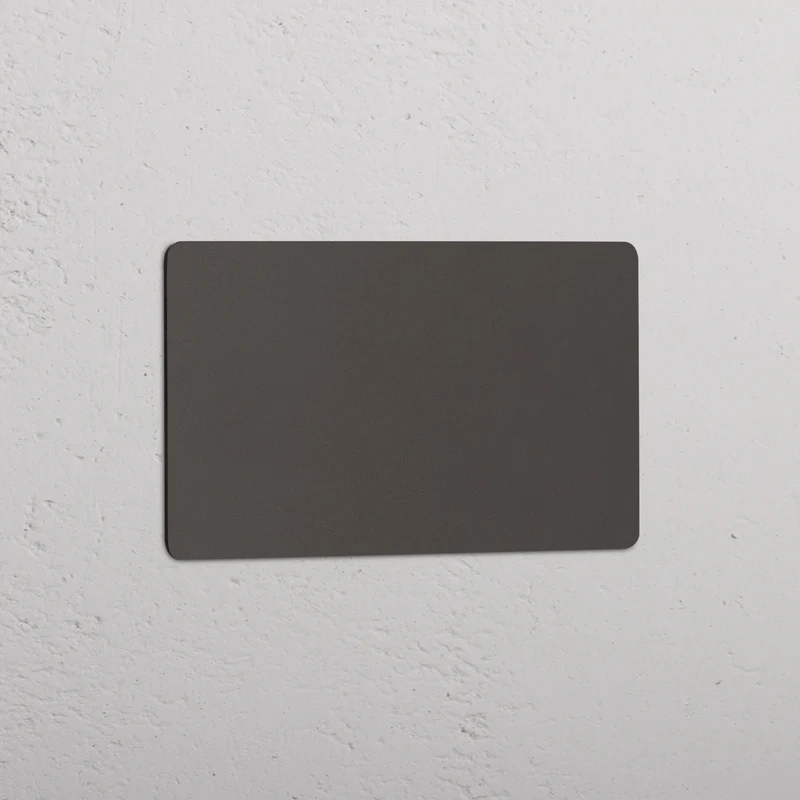 Kew Double Blank Plate - Bronze