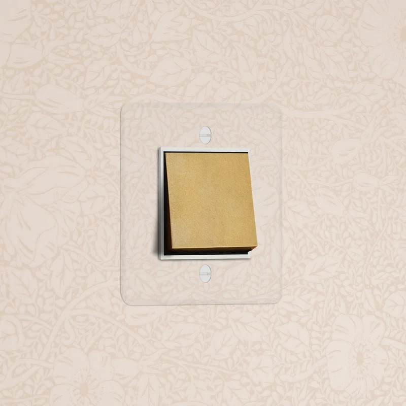 Kew Single Intermediate Rocker Switch - Clear Antique Brass | White