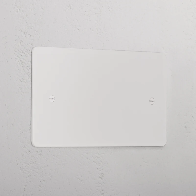Double Blank Plate - Paintable