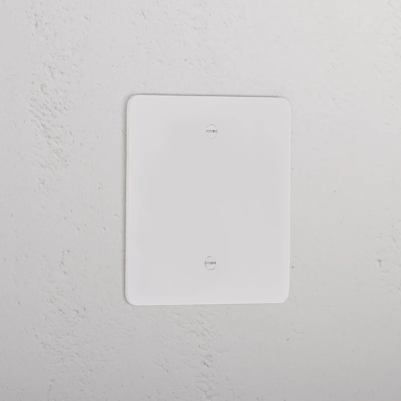Single Blank Plate - Paintable