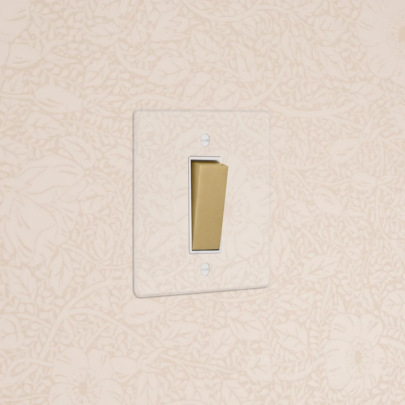 1G Retractive Rocker Switch - Clear Antique Brass | White
