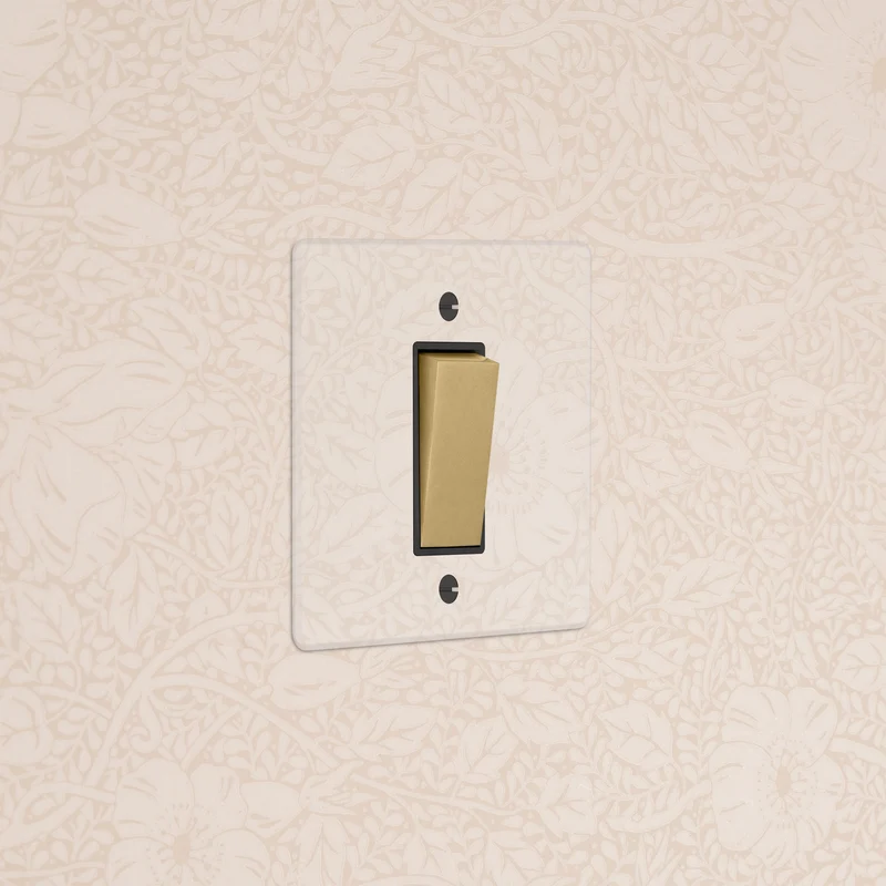 1G Retractive Rocker Switch - Clear Antique Brass | Black