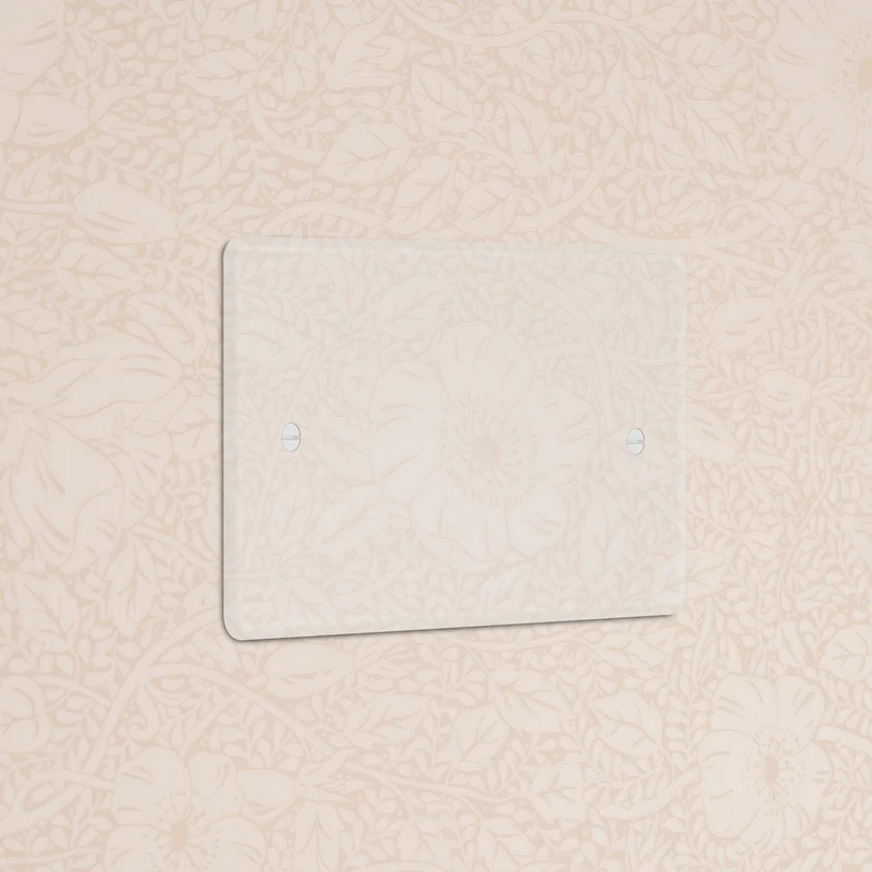 Double Blank Plate - Clear | White