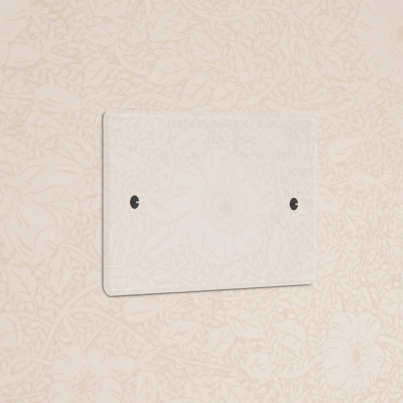 Double Blank Plate - Clear | Black