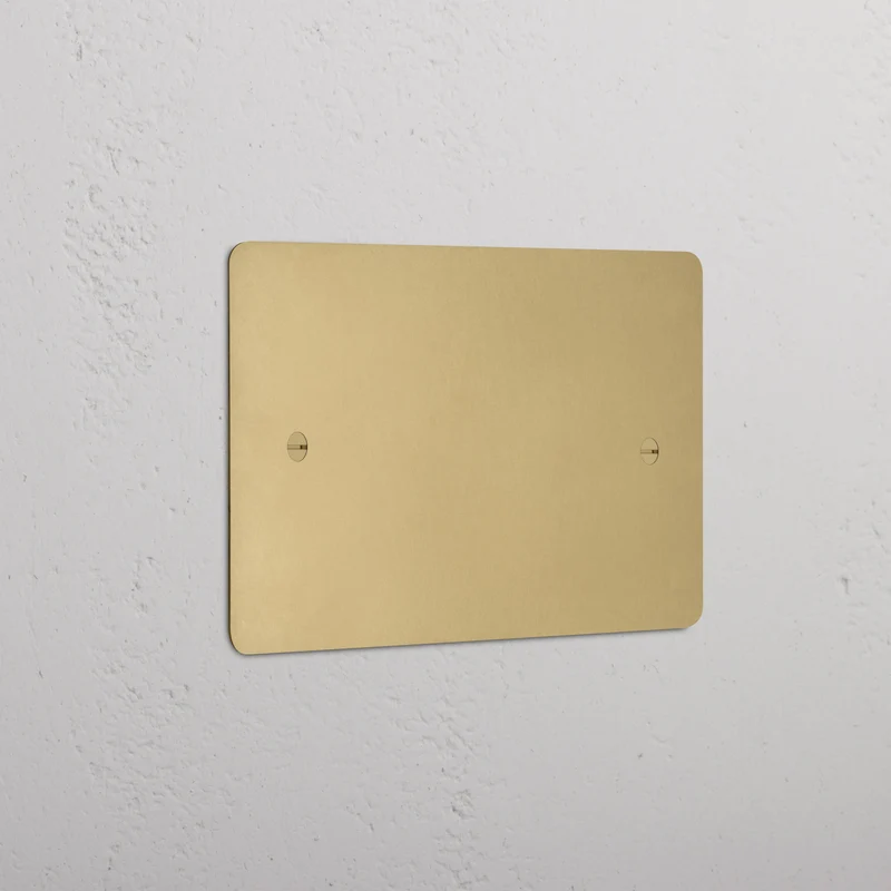 Double Blank Plate - Antique Brass