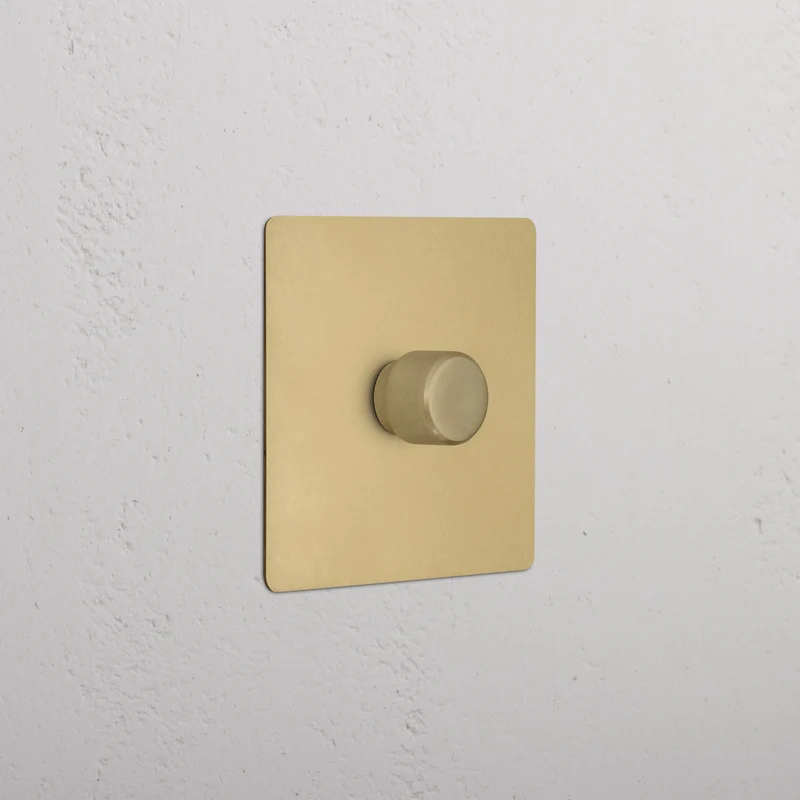 1G Two Way Dimmer Switch - Antique Brass