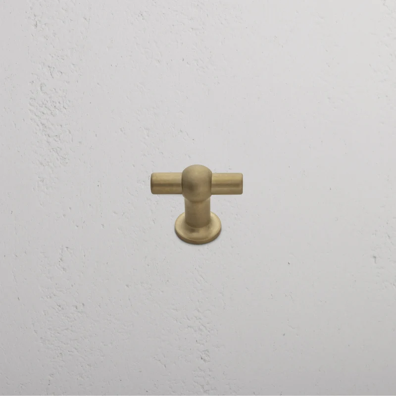 Harper T-Bar Cabinet Handle Small - Antique Brass