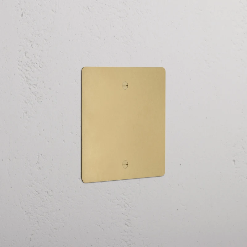 Single Blank Plate - Antique Brass