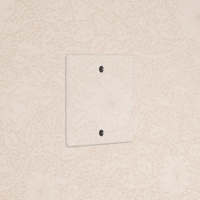 Single Blank Plate - Clear | Black