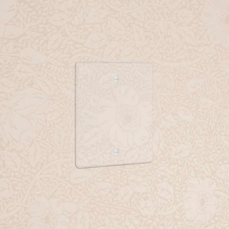 Single Blank Plate - Clear | White
