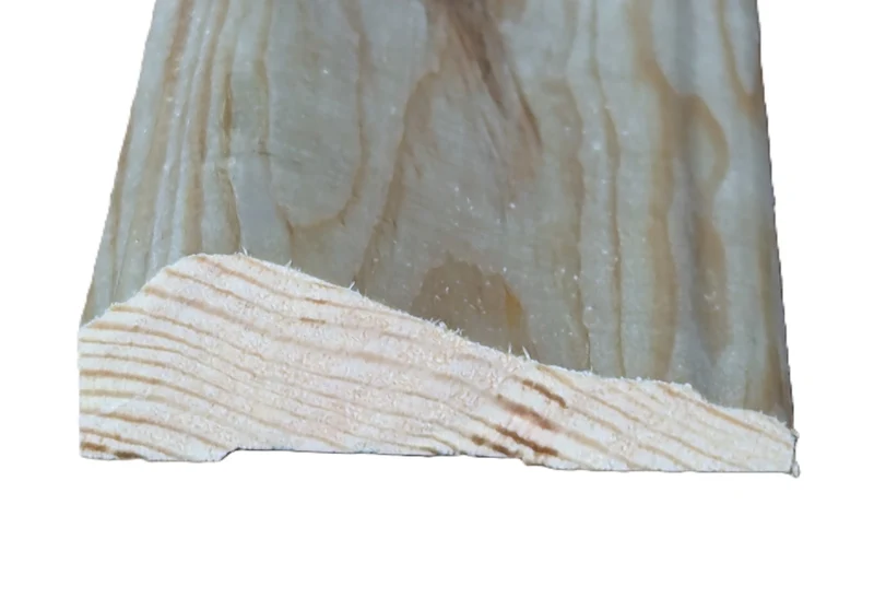 Foder Segnesta 21x65mm