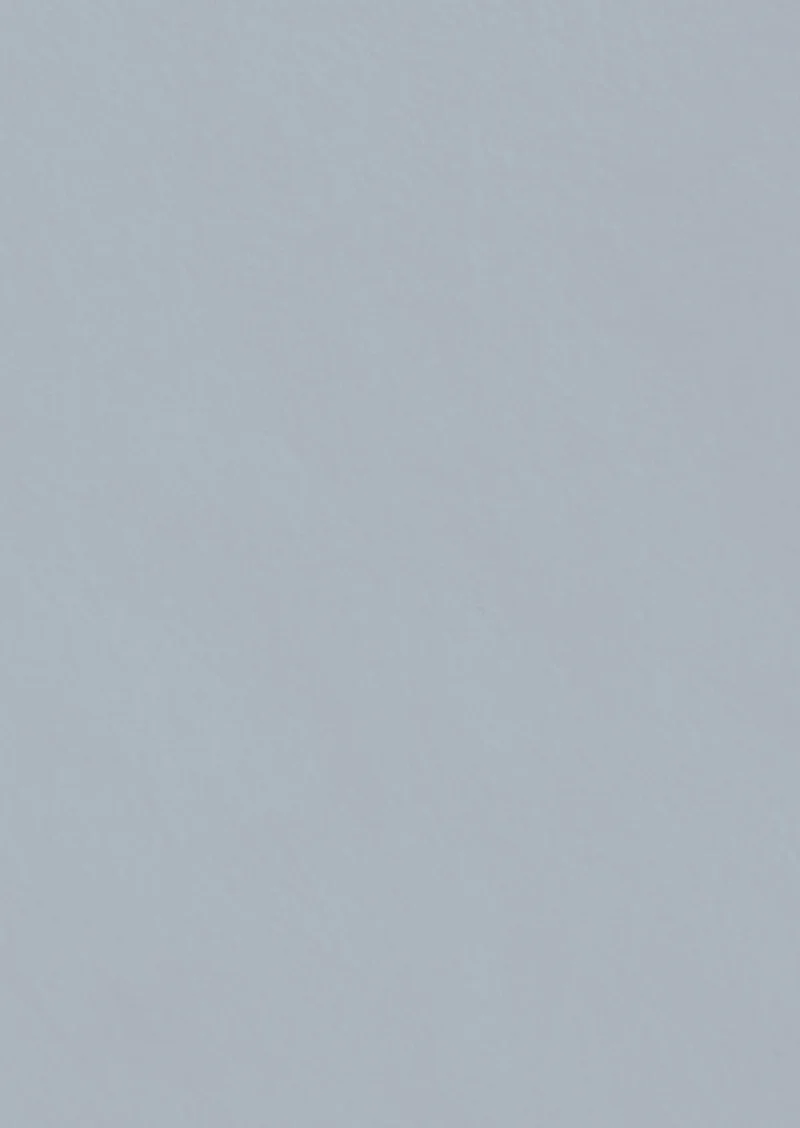 Savella lerfärg - Mist no.19