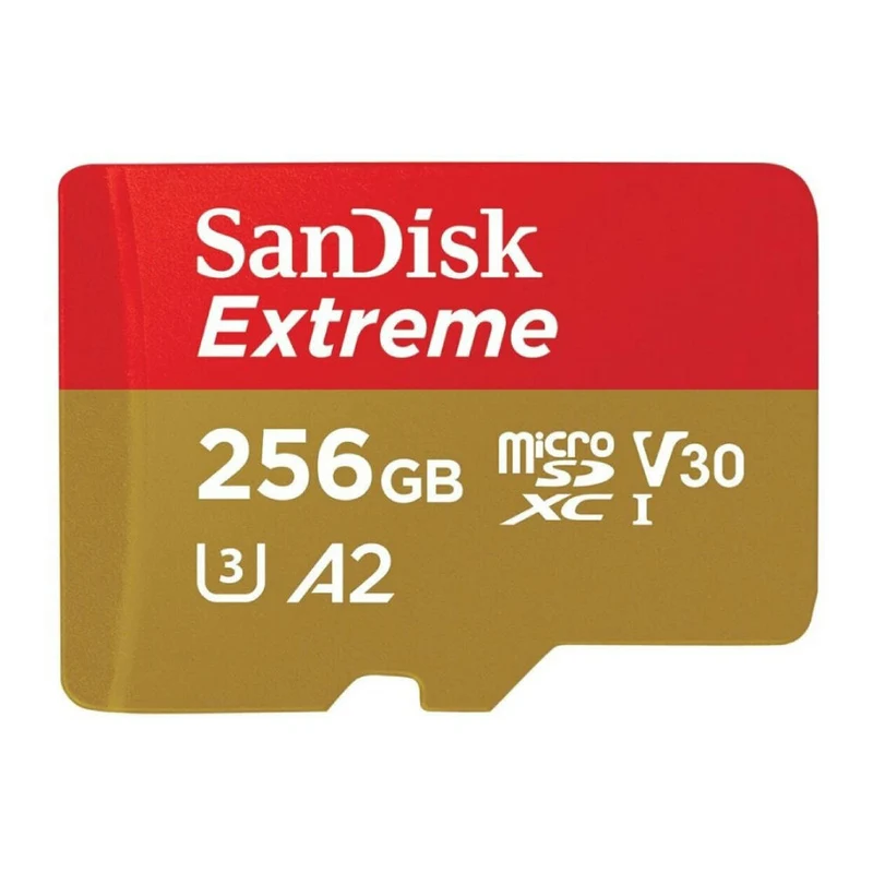 Minneskort microSDXC V30 256GB