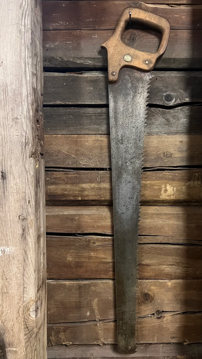 Fogsvans Lidköpings vikingsågar