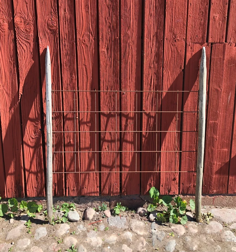 Växtstöd