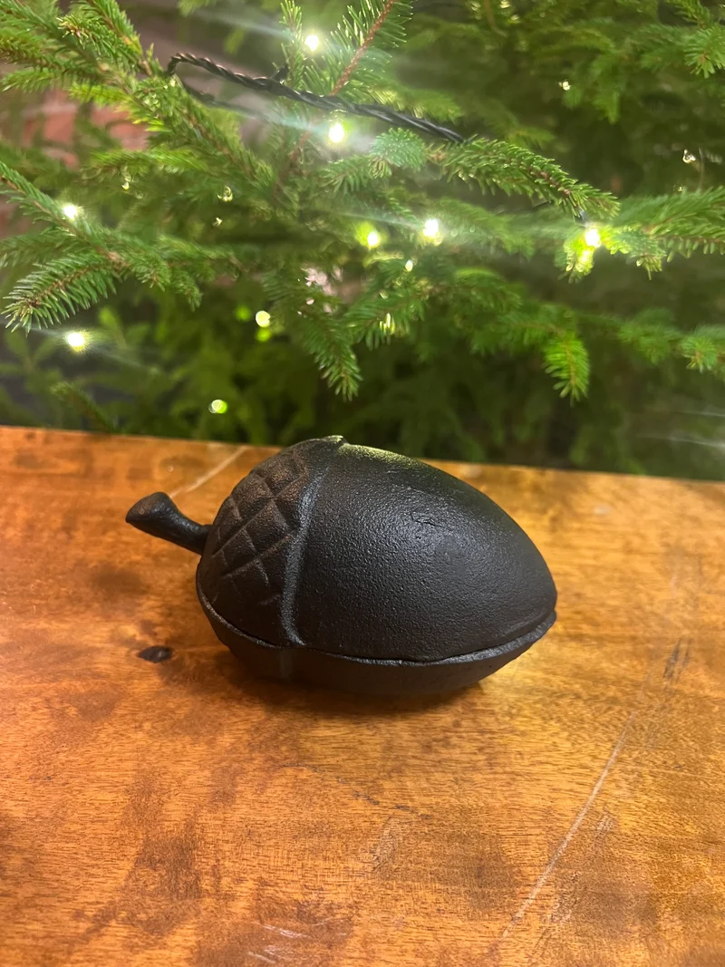 Ekollon gjutjärn