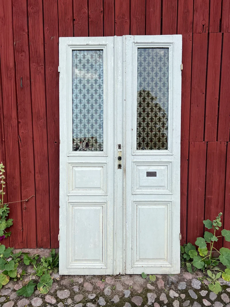Pardörr med glas 120x238