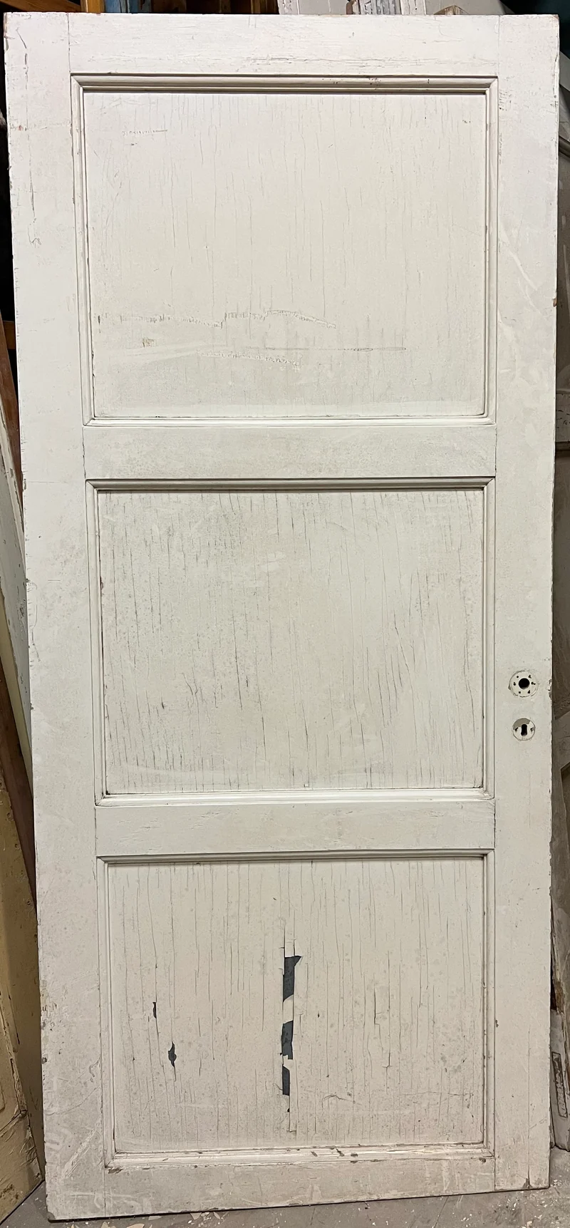 Dörrblad 88x199 3-sp