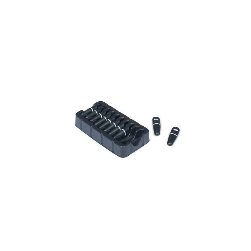 PasserbricP10 10-Pack